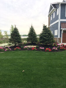 The Property Company Landscaping