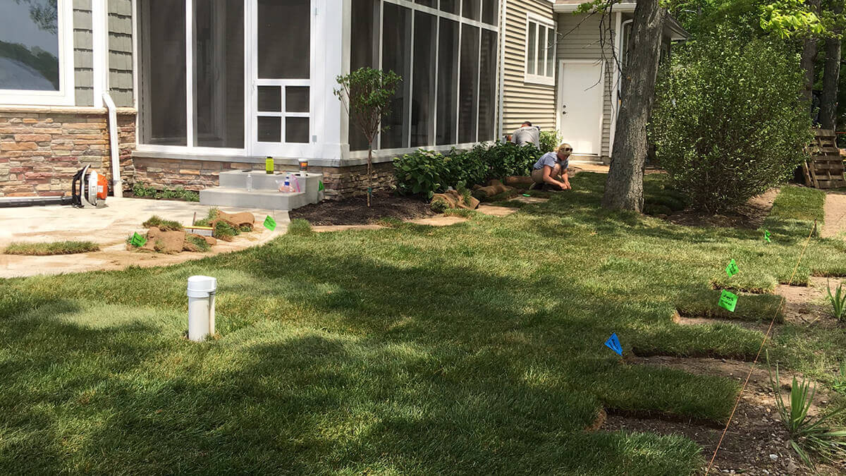 Dewart Lake Landscaping Project The Property Company